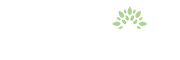 New Beginnings Scholarship Foundation